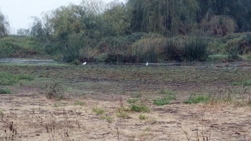 Apartamento Casas En Campo Con AA "caba�as La Emboscada"