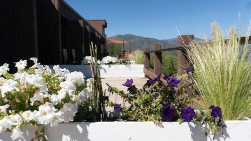 Hotel Boutique Colchagua D'vino