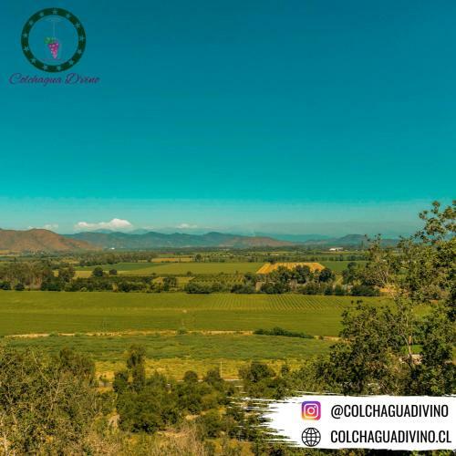 Hotel Boutique Colchagua D'vino