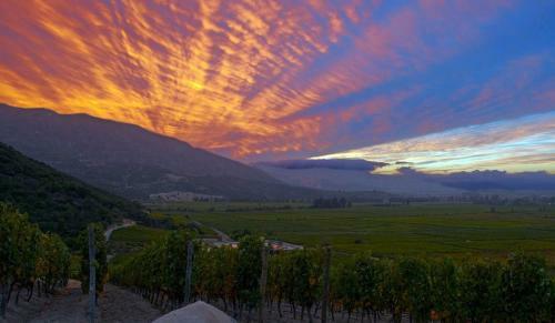 Hotel Boutique Colchagua D'vino