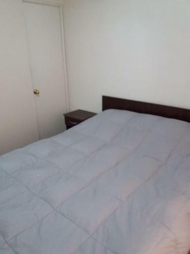 Apartamento Depto Metro Irarrazaval