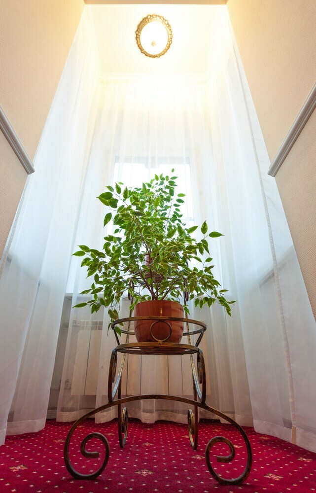 Bed & Breakfast Art-hotel Radischev