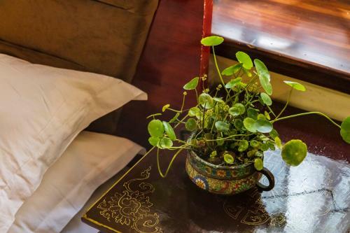 Floral Hotel Lincang Boutique Hotel