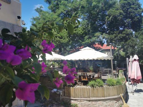 Qingdao Top Yunyin Homestay