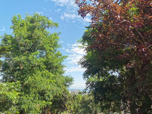 Qingdao Top Yunyin Homestay
