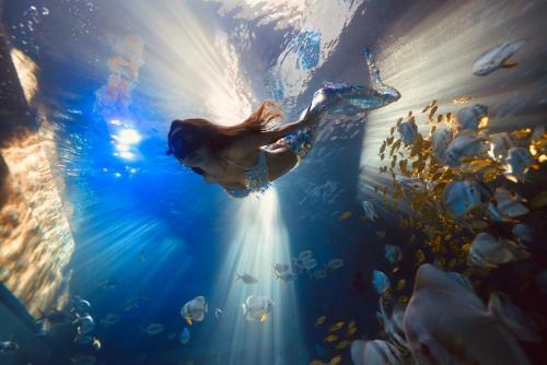 Hotel Big White Whale Ocean Exploration World