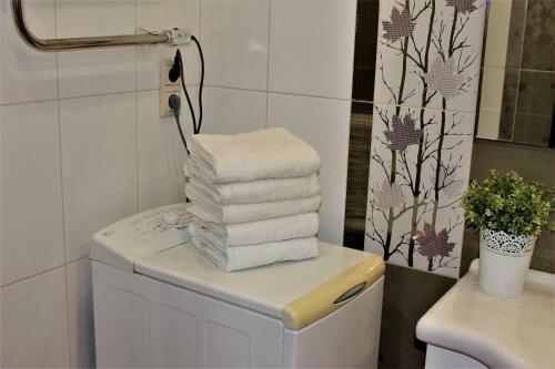 Villa 4 Bedroom Cottage At Sbornaya Str.