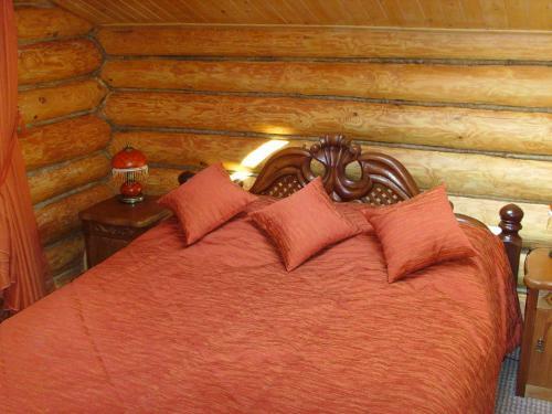 Tranzit Hotel