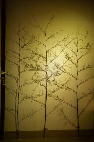 Hostal Yunshuiyao Guyao Guesthouse