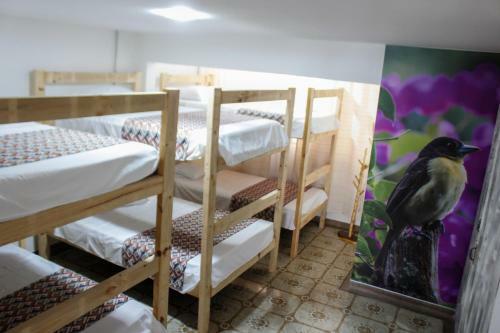 La Otra Mitad Hostel