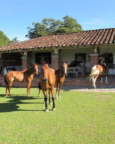 Hotel Rancho Eden