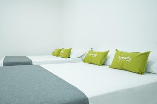 Hostal Hotel Ayenda House Concepci�n 1317