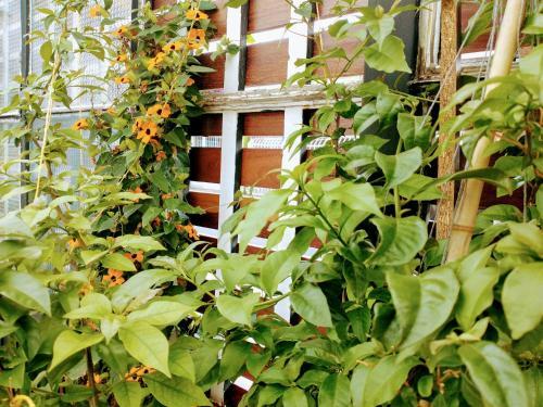Hotel Casa Sab - Boutique Bed & Breakfast