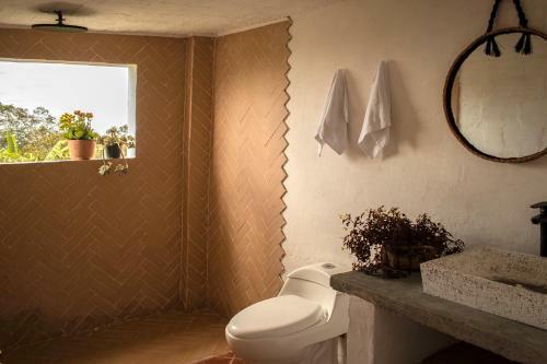 Bed & Breakfast El Fenix Farmstay