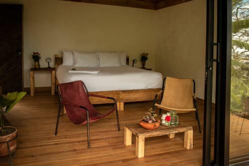Bed & Breakfast El Fenix Farmstay