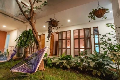 Bed & Breakfast Hotel Casa Madre