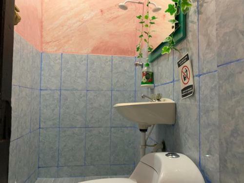 Albergue Hostal Pachamama Blue