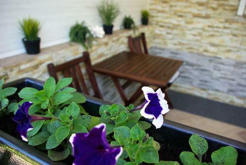 Hostal Guest House "from Home To Home"