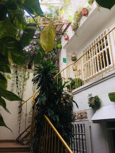 Casa Mary B&B