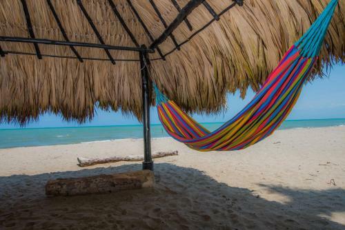 Apartaestudio Cove�itas 202