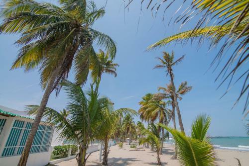 Apartaestudio Cove�itas 202