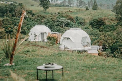 Ecohotel Monte Tierra Habitaciones Y Glamping