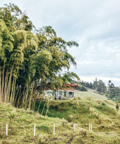 Ecohotel Monte Tierra Habitaciones Y Glamping