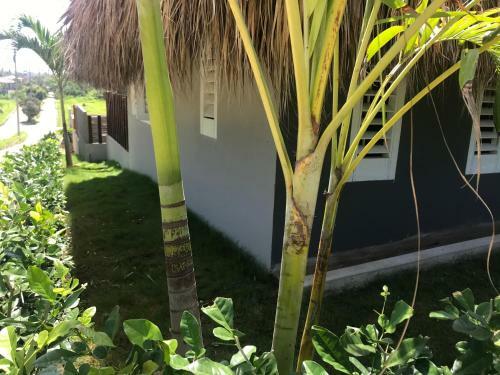 Bed & Breakfast Kokohau Bungalows