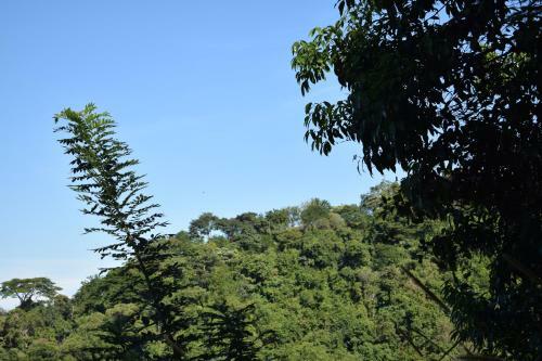 Hospedaje Los Pinos, Caba�a En Minca