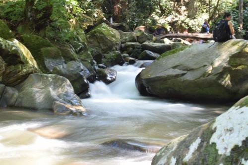 Hospedaje Los Pinos, Caba�a En Minca