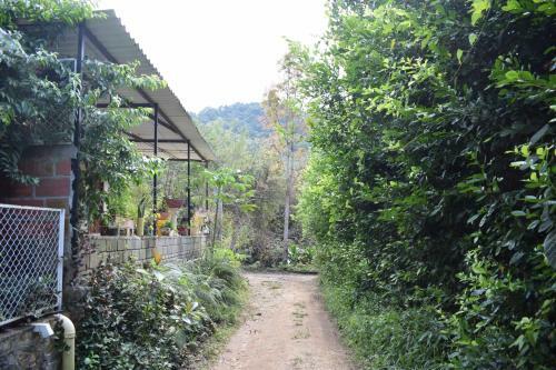 Hospedaje Los Pinos, Caba�a En Minca