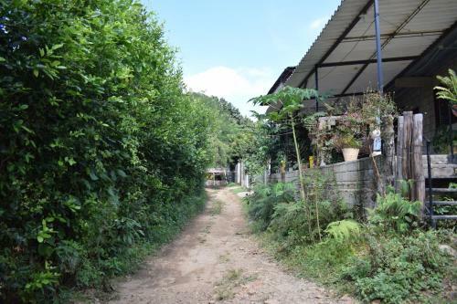 Hospedaje Los Pinos, Caba�a En Minca
