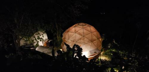 Hotel Trekker Glamping