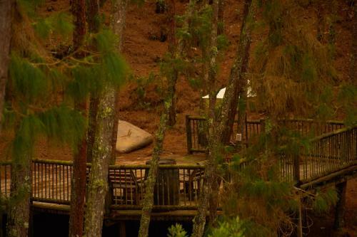 Albergue La Caba�a Musical