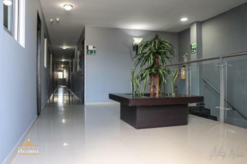 Hotel Escorial Pitalito