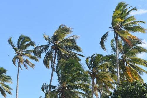 Posada Caba�as San Sebastian Palomino Beach Hostel