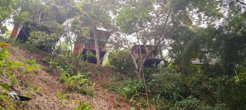 Nice Place In Quimbaya Quindio Close To Natural Parks