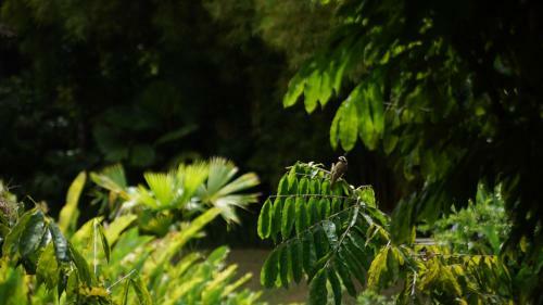 Lodge Finca La Argelia