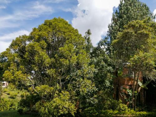 Hotel Hevilat Para�so De Oriente