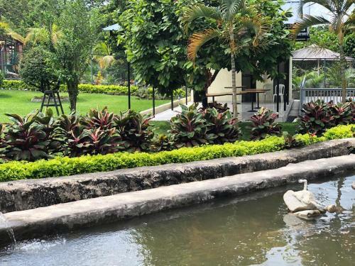 Agroturismo Casa De Campo Erika Sofia
