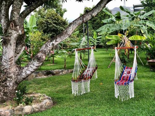 Agroturismo Casa De Campo Erika Sofia