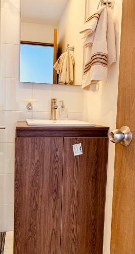 Apartamento Zona Colonial Lind�simo (102)