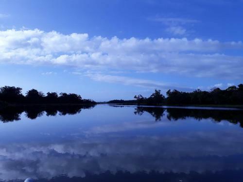Kingfisher Lodge & Tours