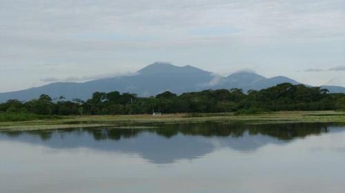 Kingfisher Lodge & Tours