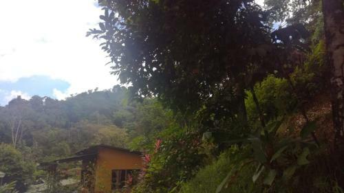 Hotel Corcovado & Drake Inn