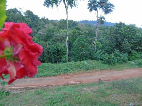Hostal Hotel El Tesoro de Sir, Drake Bay