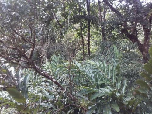 Lodge Bungalow Monta�a