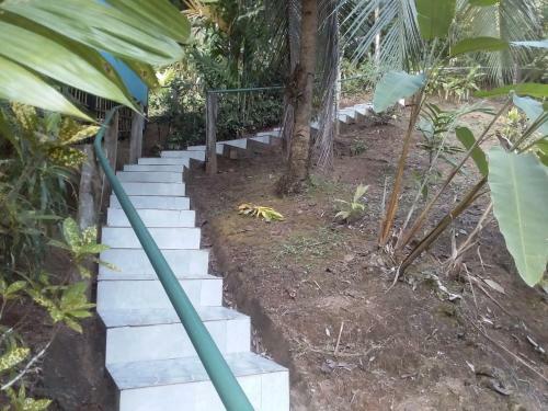 Lodge Bungalow Monta�a