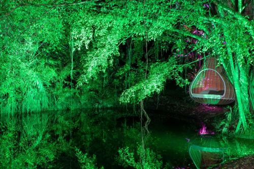 Hotel Noah's Forest By Tifakara