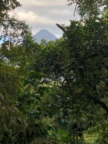 Hotel Sangregado Lodge